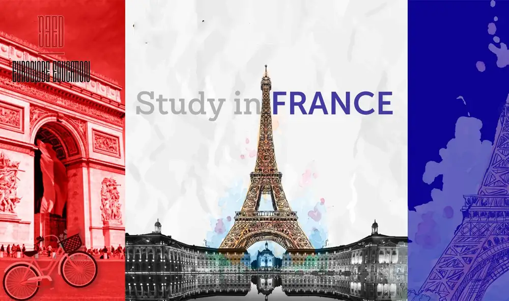 Management degrees in France